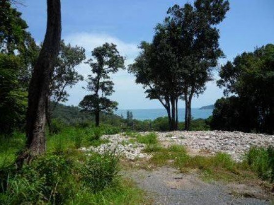 Sea View Patong Land Plot for Sale Image by Phuket Realtor