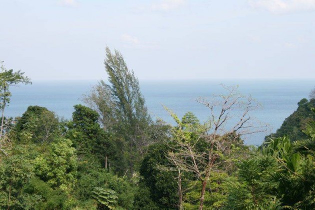 Sea View Land Plot for Sale on Millionaire Mile Image by Phuket Realtor