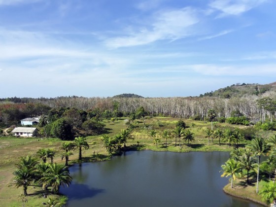 9 Rai Bang Tao Land Plot for Sale Image by Phuket Realtor