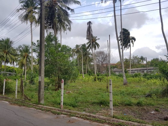 Buy this and Walk to the Beach | Mai Khao Land Plot for Sale | 200m from Beach Image by Phuket Realtor