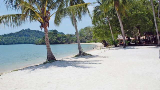Beautiful Island Property! | Land for Sale in Thailand | 2-4 Rai Plots Image by Phuket Realtor