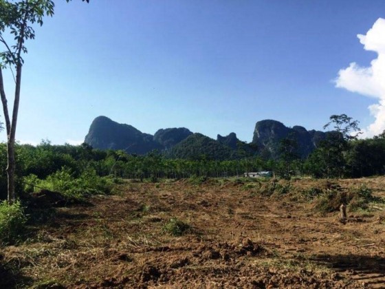 Thailand Property - Quiet Krabi Chanote Land Plots for Sale Image by Phuket Realtor