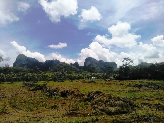 Thailand Property - Quiet Krabi Chanote Land Plots for Sale Image by Phuket Realtor