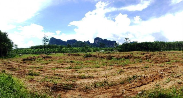 Thailand Property and Land for Sale | Krabi | 3 Plots Image by Phuket Realtor