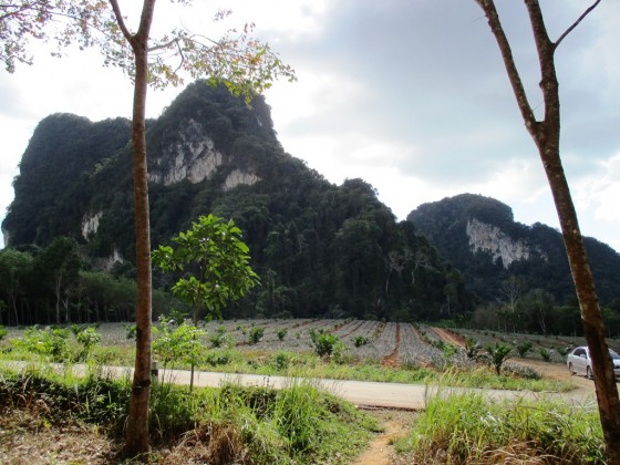 Scenic Ban Nai Rai | Krabi Land for Sale Thailand | Chanote Title Image by Phuket Realtor