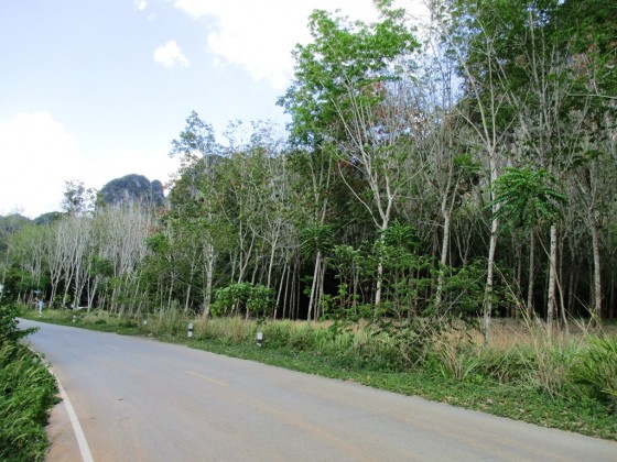 Scenic Ban Nai Rai | Krabi Land Plots for Sale | Chanote Title Image by Phuket Realtor