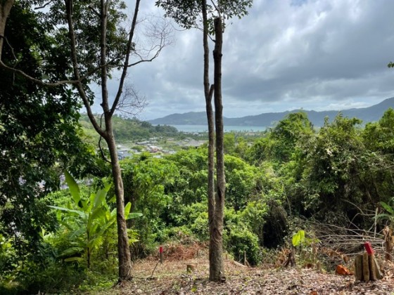 Patong Chanote Land for Sale | Great for Developer | Don't Wait Too Long Image by Phuket Realtor