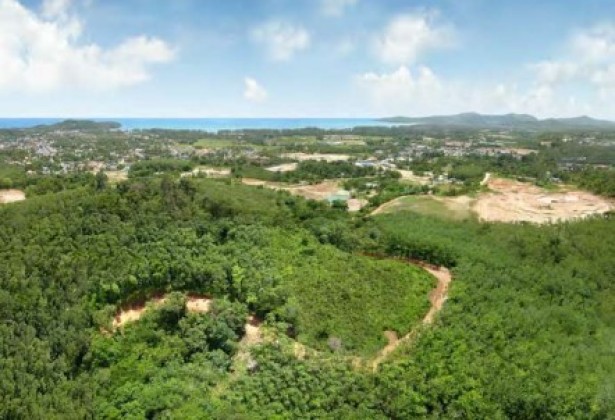 Bang Tao Land Plot | 6 Rai for Sale | Perfect for Development of Small Estate Image by Phuket Realtor