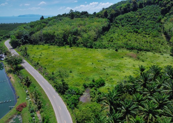 Perfect for Resort | Phang Nga Land for Sale | Get in Early Image by Phuket Realtor