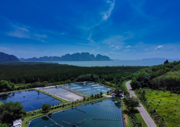 Perfect for Resort | Phang Nga Land for Sale | Get in Early Image by Phuket Realtor